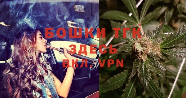 не бодяженный Инсар