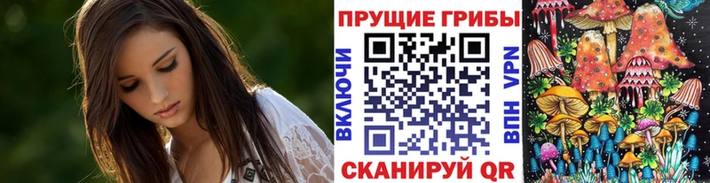 Псилоцибиновые грибы мухоморы  Купить закладки  Туран 